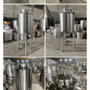 bồn lên men bia công nghiệp 500l 5