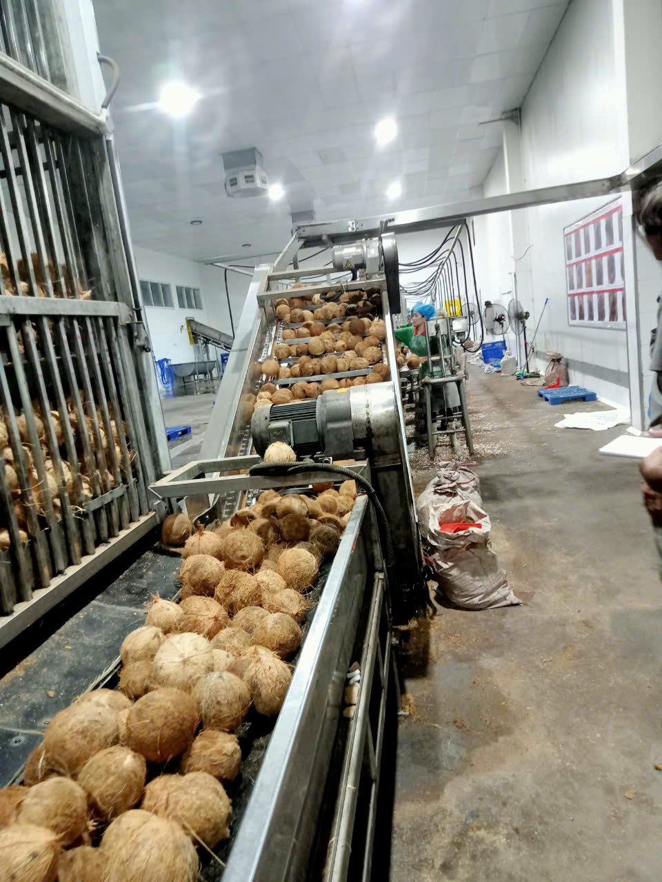 z5875021054349 b0b8145a9e7101da6a3d78f4c25876e1 z5875021054349 b0b8145a9e7101da6a3d78f4c25876e1