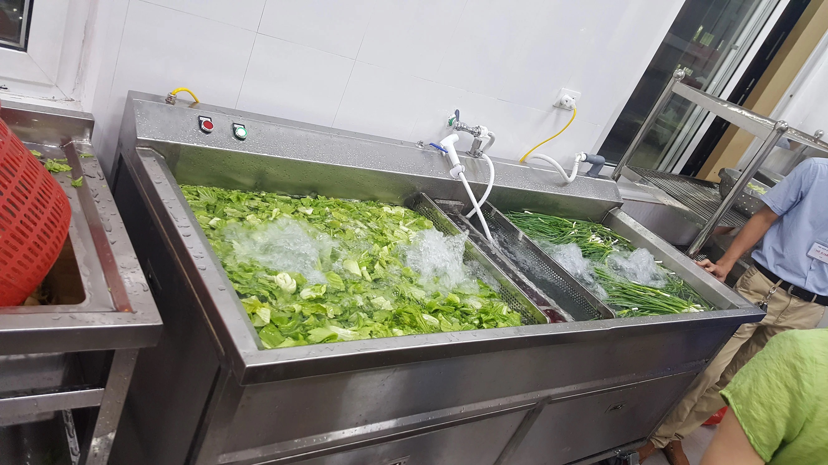 Máy rửa rau củ quả