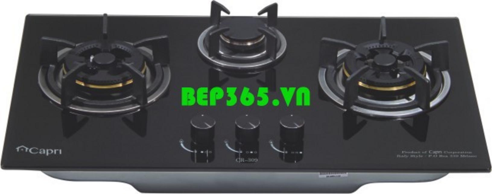 Giới thiệu chung về Bếp gas CAPRI CR-309