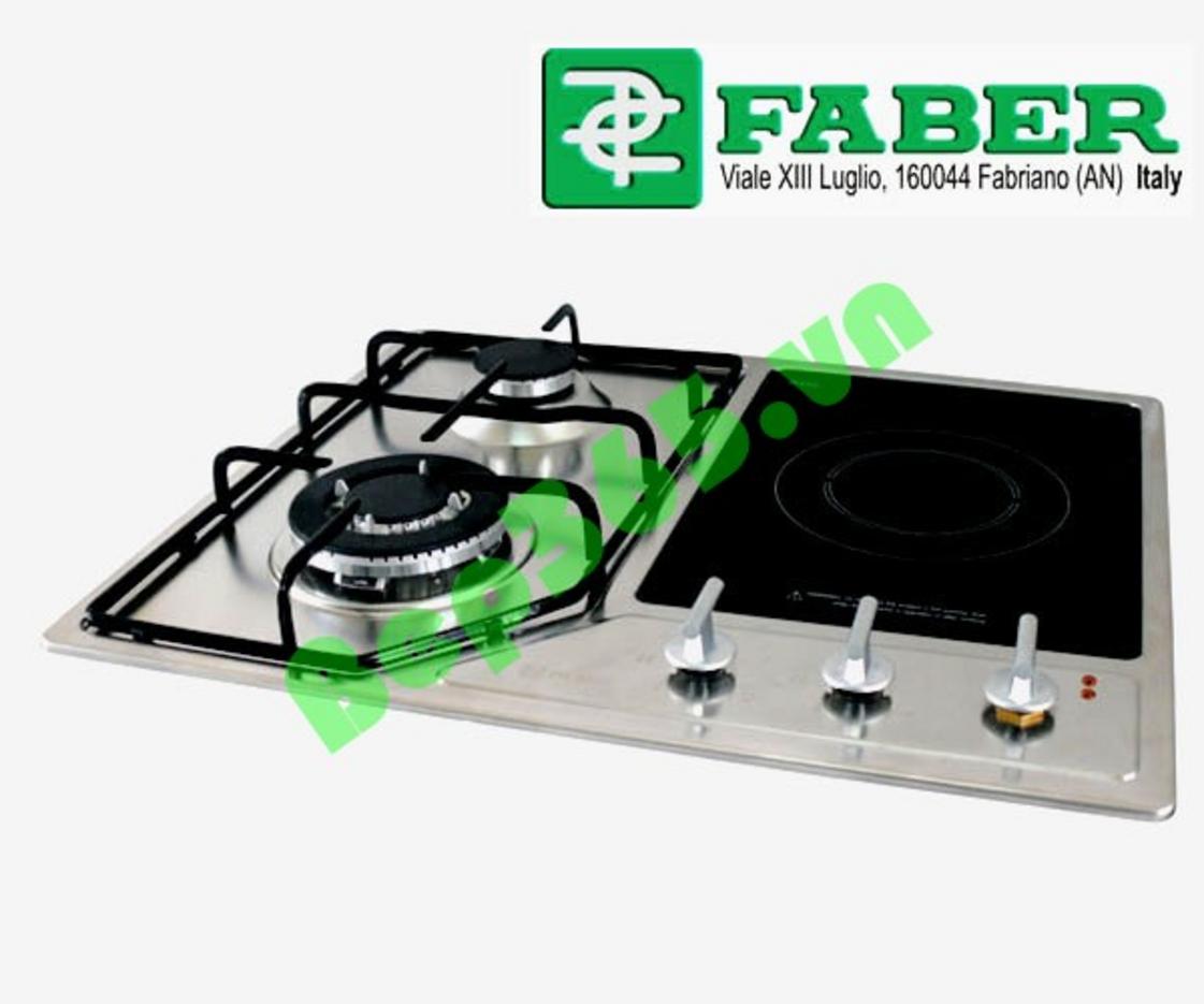 1. Giới thiệu tổng quan về Bếp ga Faber FB 202 S1E