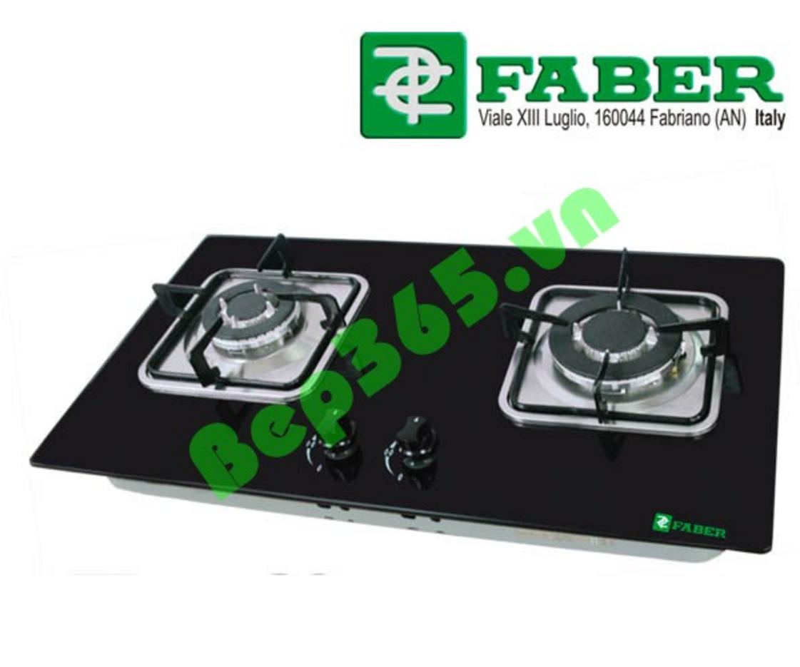 1. Tổng quan sản phẩm Bếp ga âm Faber FB 201GS