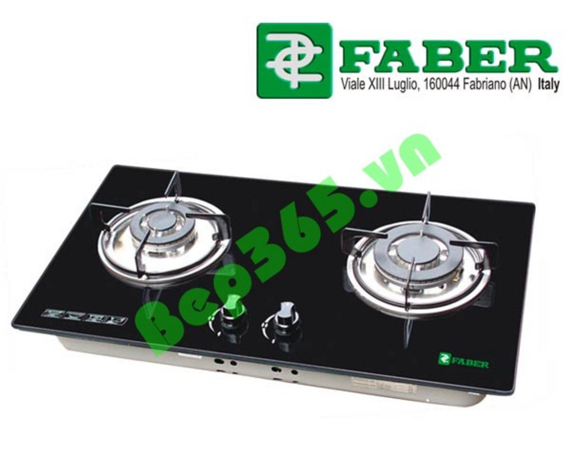 Tổng quan về Bếp ga âm Faber FB 202GS