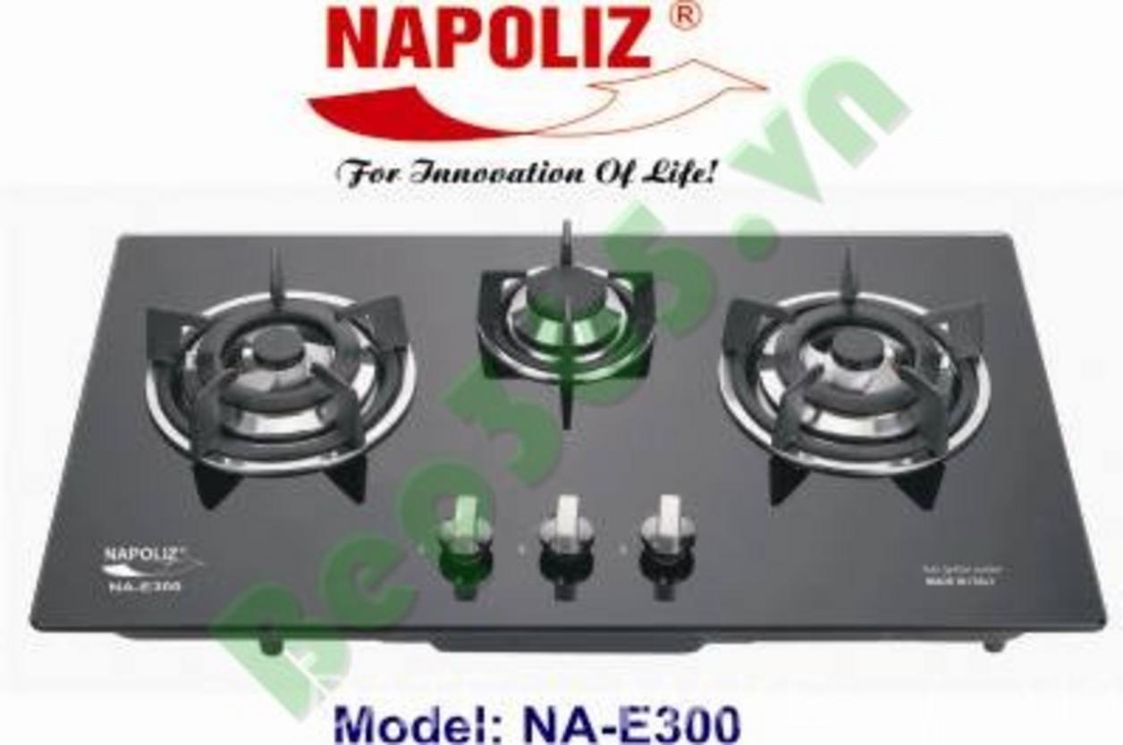 Tổng quan về Bếp ga NAPOLIZ NA-E300