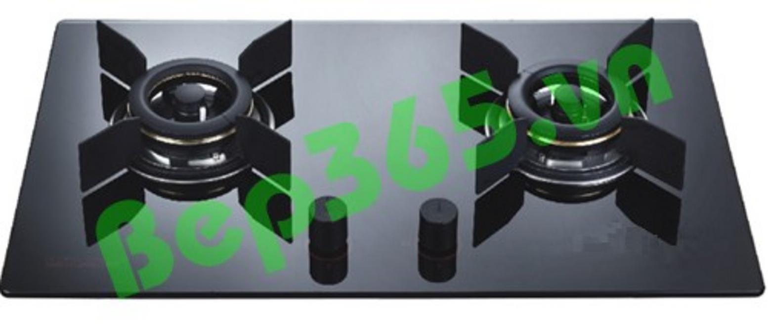 Tổng quan về Bếp gas âm FASTER FS 202S