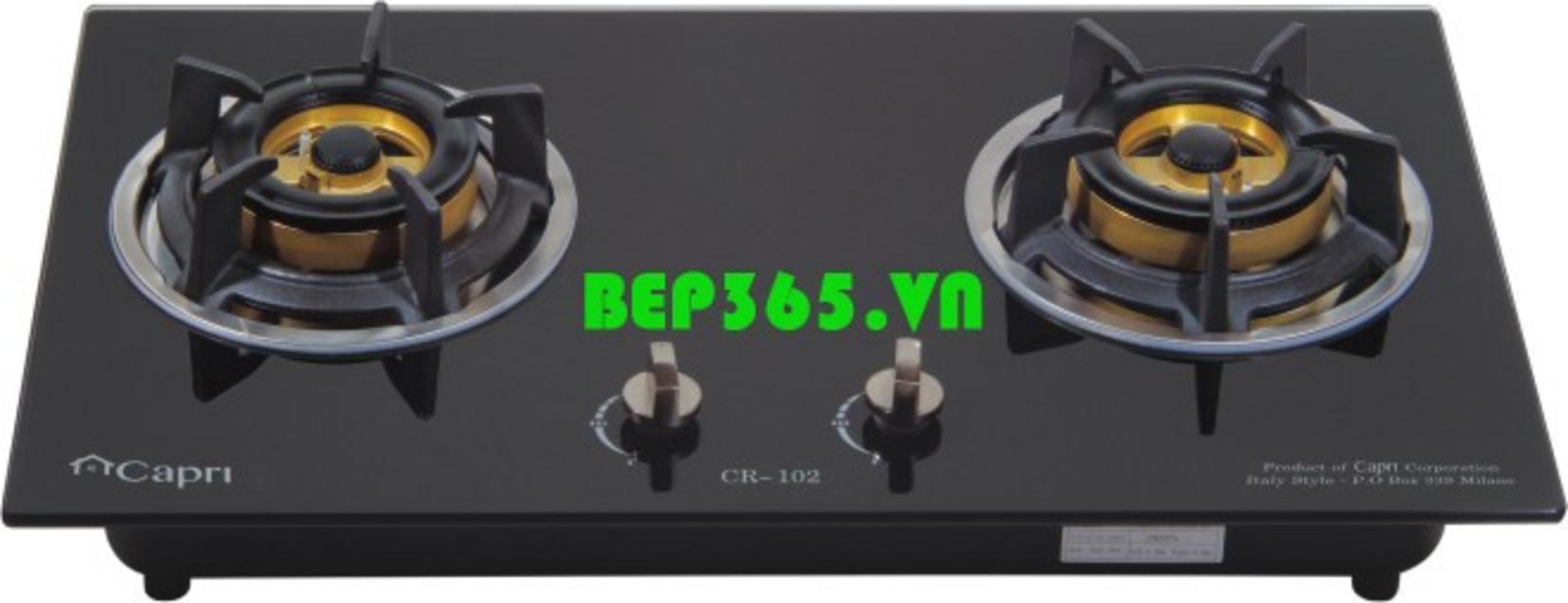 Tổng quan về Bếp Gas CAPRI CR-102