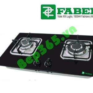 Bếp ga âm Faber FB 201GS