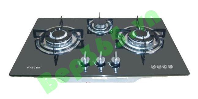 Bếp gas âm FASTER FS 260SI