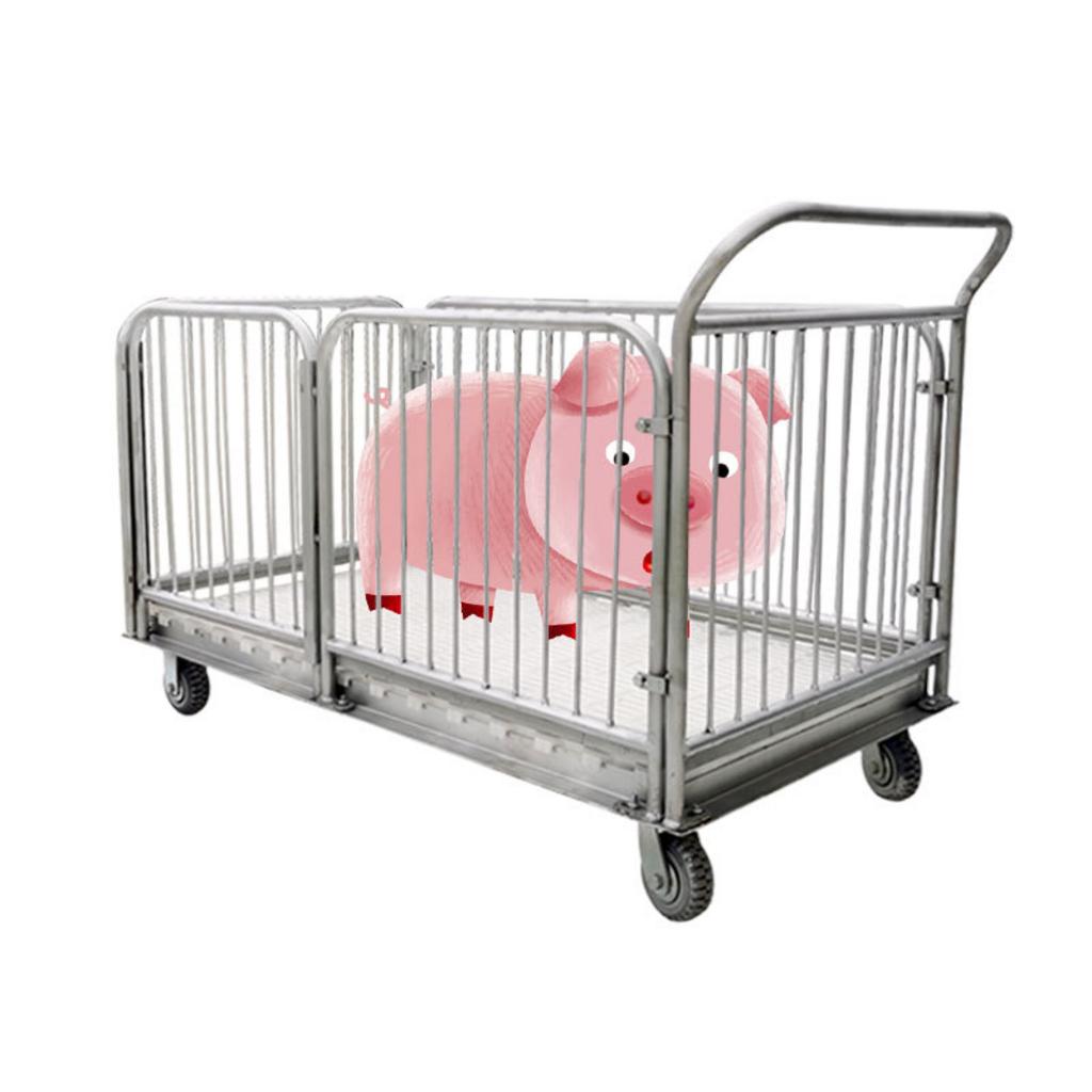 Khung xe inox 304 bền bỉ chống gỉ