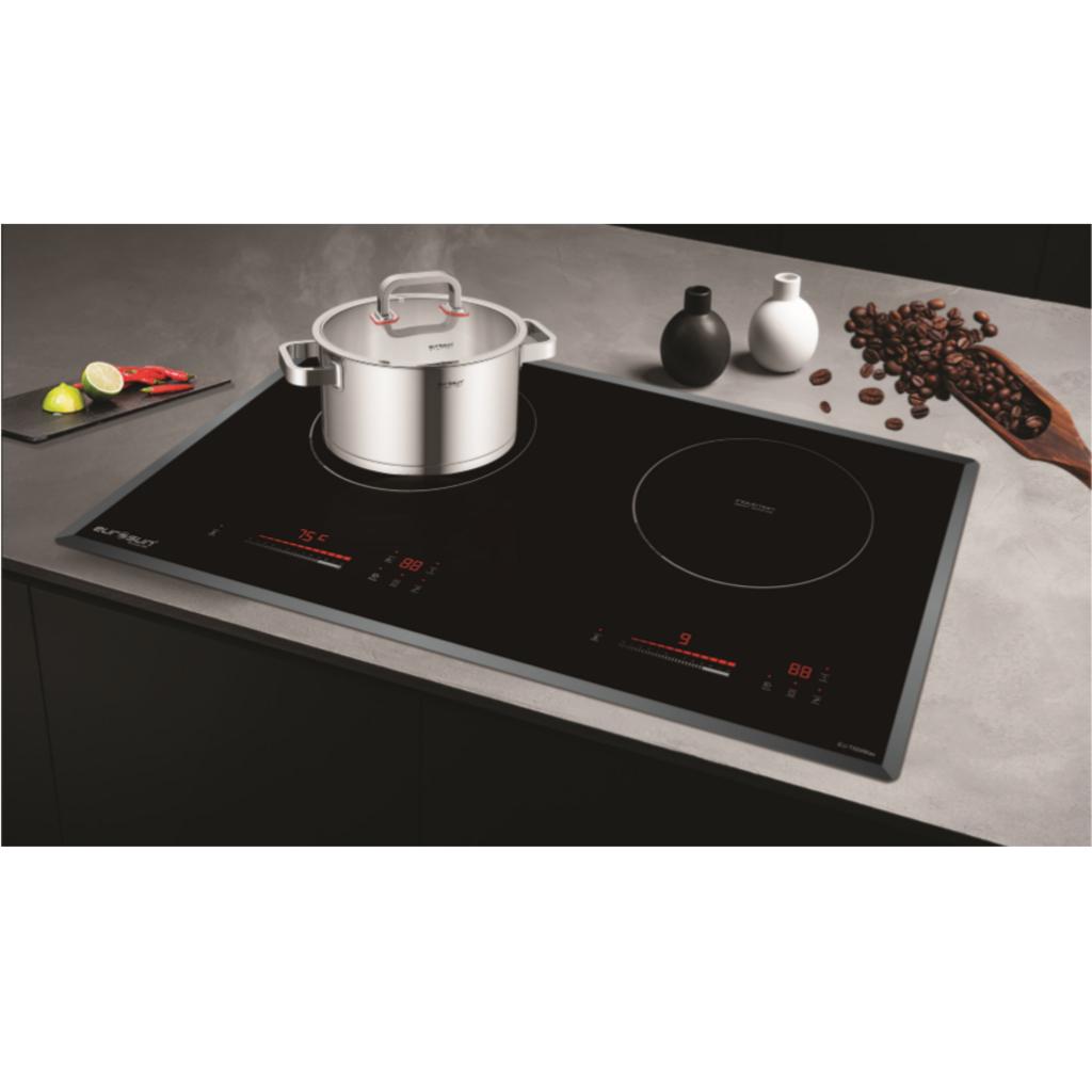 Tổng quan về Bếp từ đôi Eurosun EU-T508Max lắp âm
