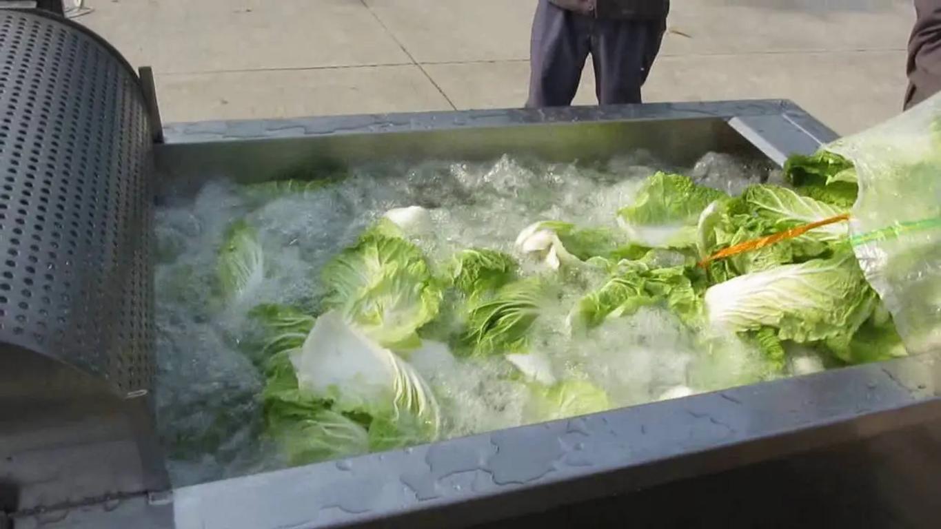 Bảng so sánh chi tiết giữa việc dùng máy và sơ chế thủ công.