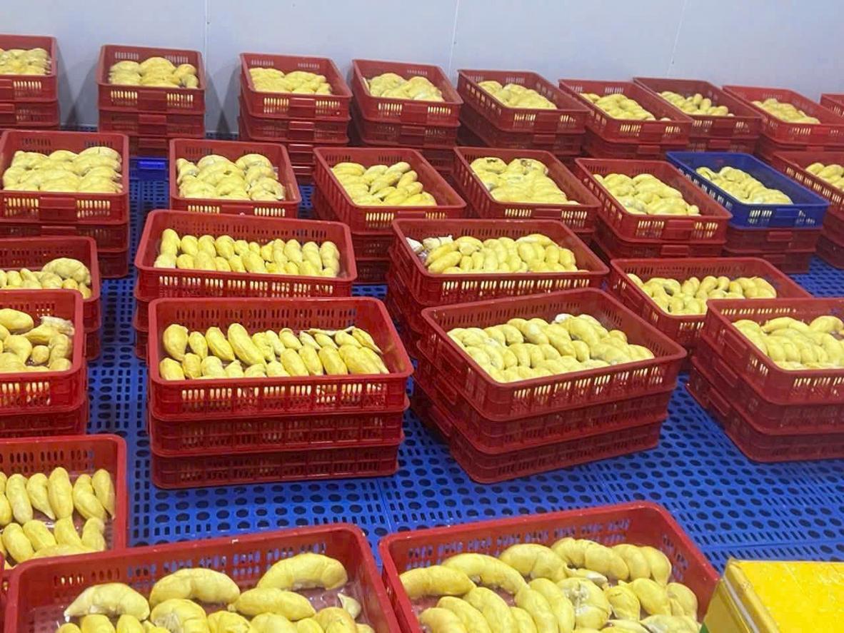 Khay nhôm nổi bật với khả năng dẫn nhiệt tốt trong cấp đông công nghiệp.